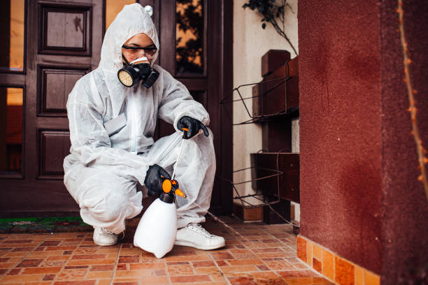 Reliable Bed Bug Control contractor in Lincoln Park, MI by Nex Pest Control