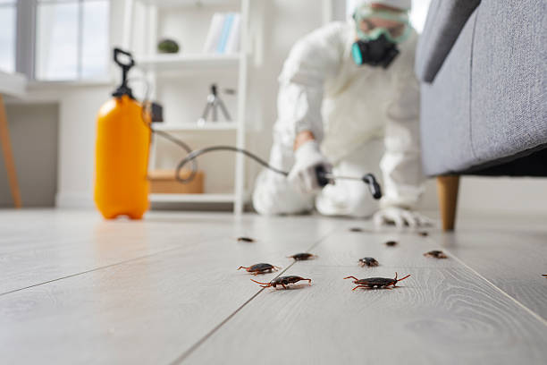 Trusted Cockroach Control service in Lincoln Park, MI - Nex Pest Control