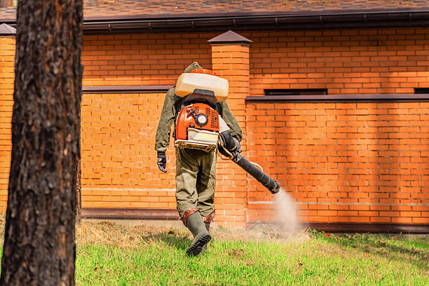Trusted Emergency Pest Control service in Lincoln Park, MI - Nex Pest Control